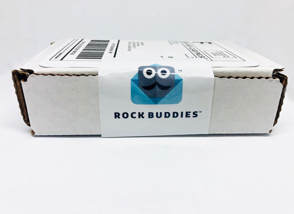 Foodie Rock Buddies